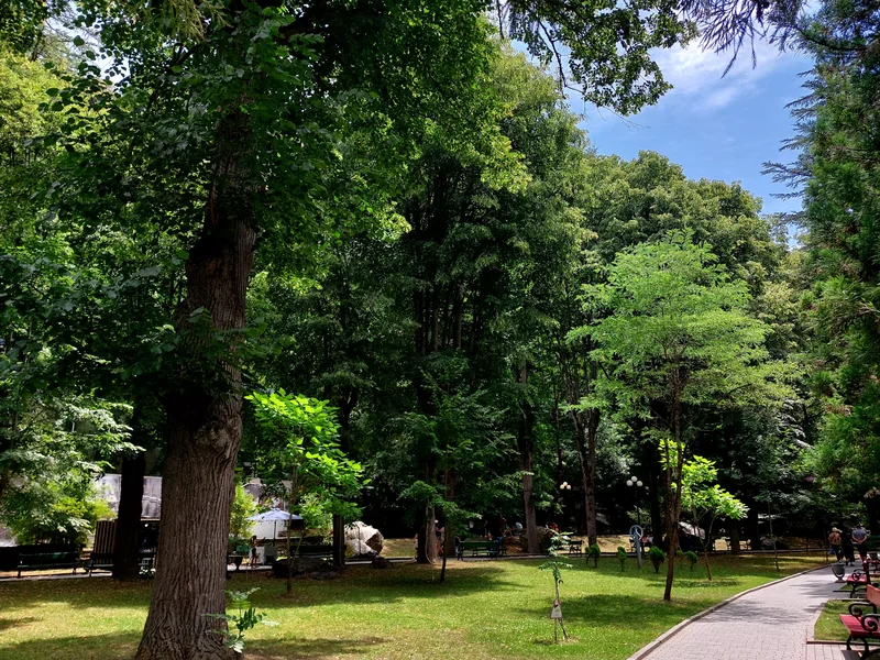 Borjomi Central Park
