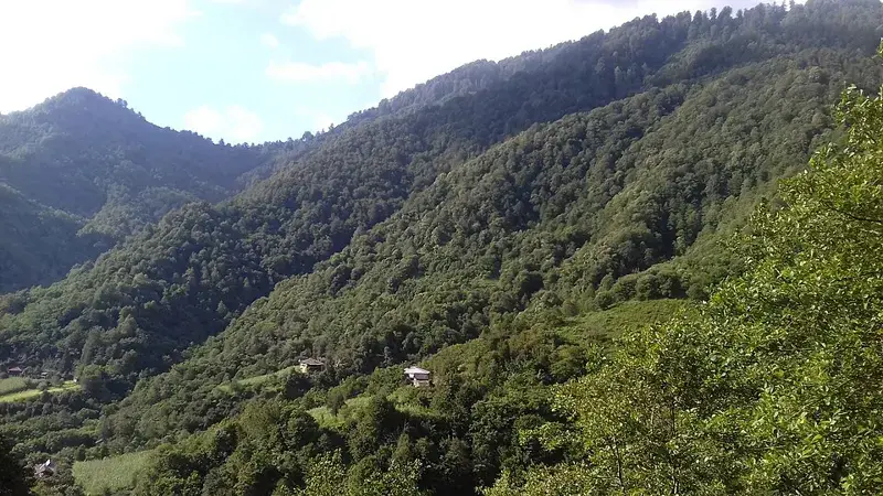 Mtirala National Park, Adjara